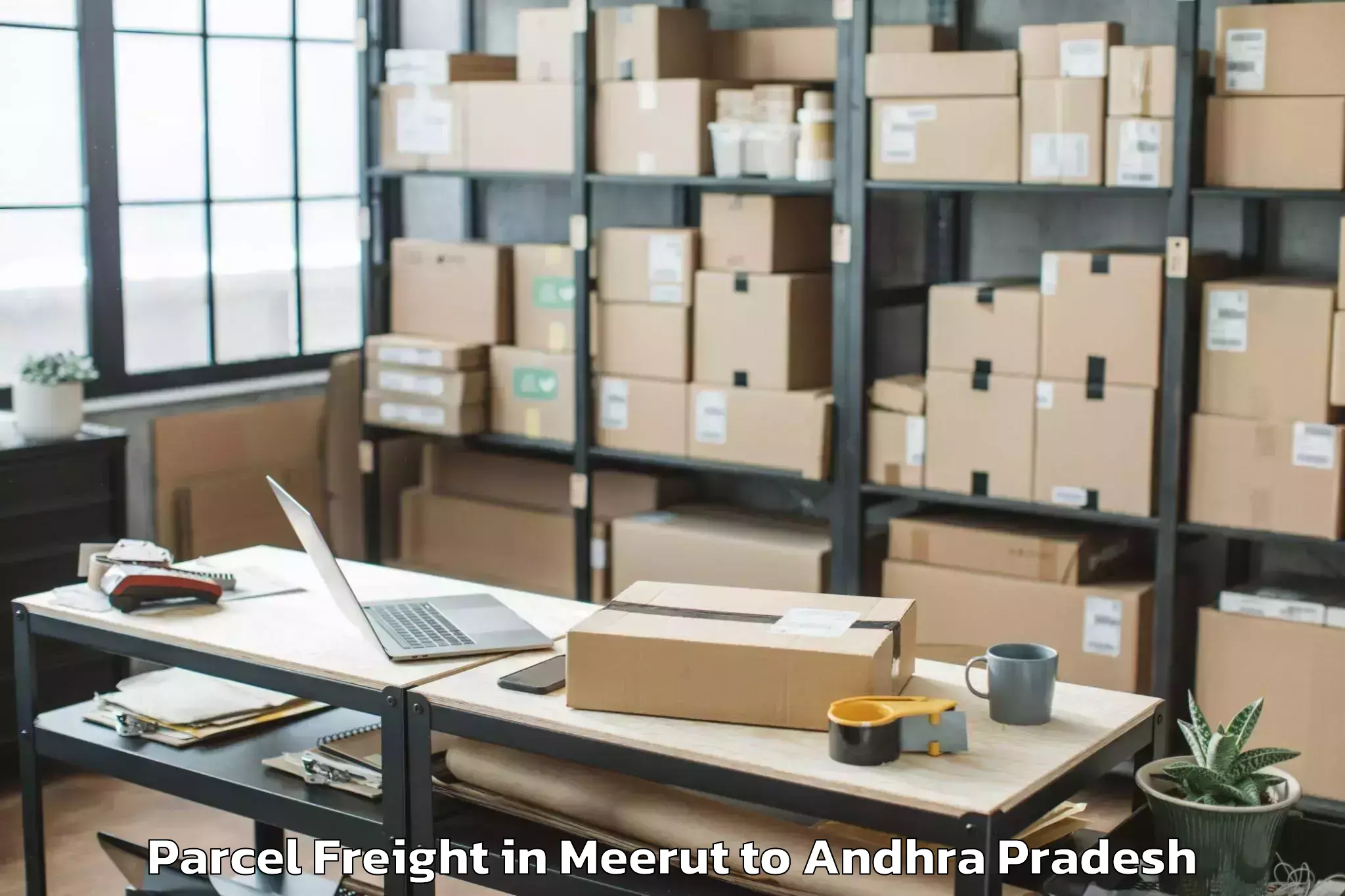 Quality Meerut to Galiveedu Parcel Freight